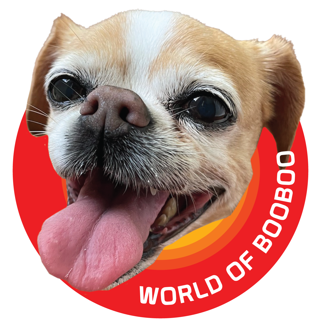 The Wonderful World of Booboo